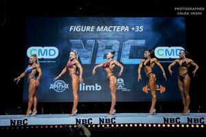 FIGURE МАСТЕРА +35